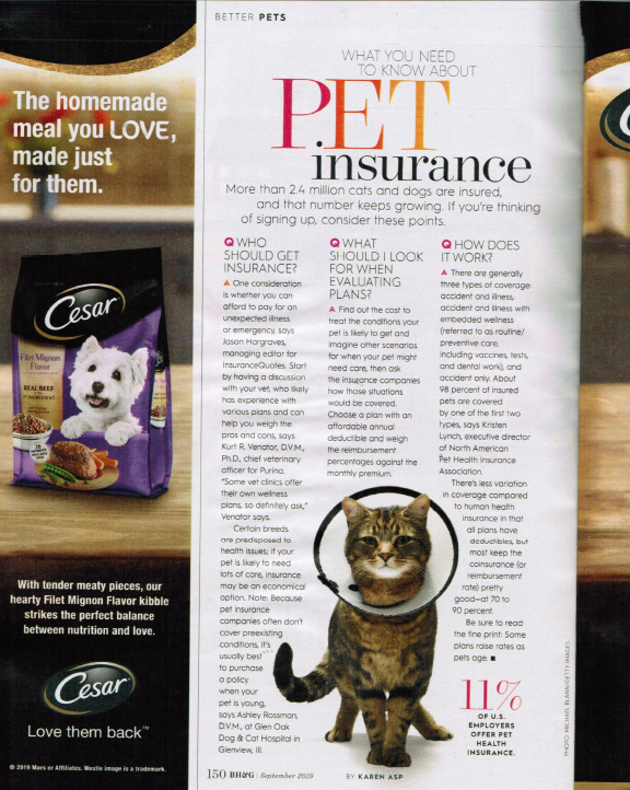 Better Homes and Gardens - Pet Insurance article