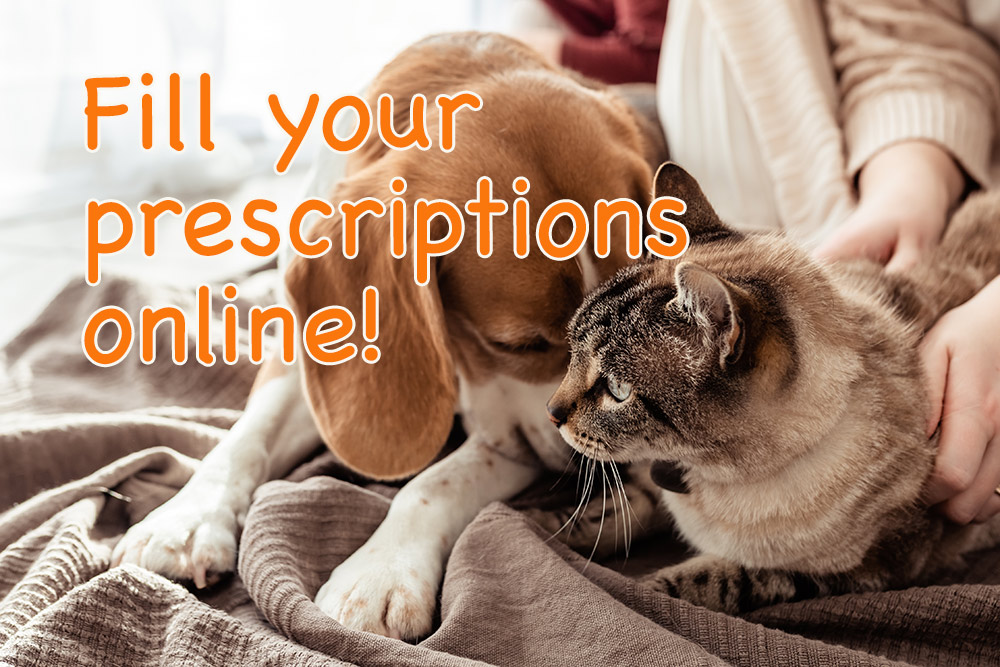 We are now offering online pharmacy services - Glen Oak Dog & Cat Hospital