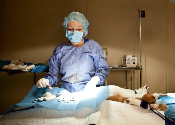 Surgical Services