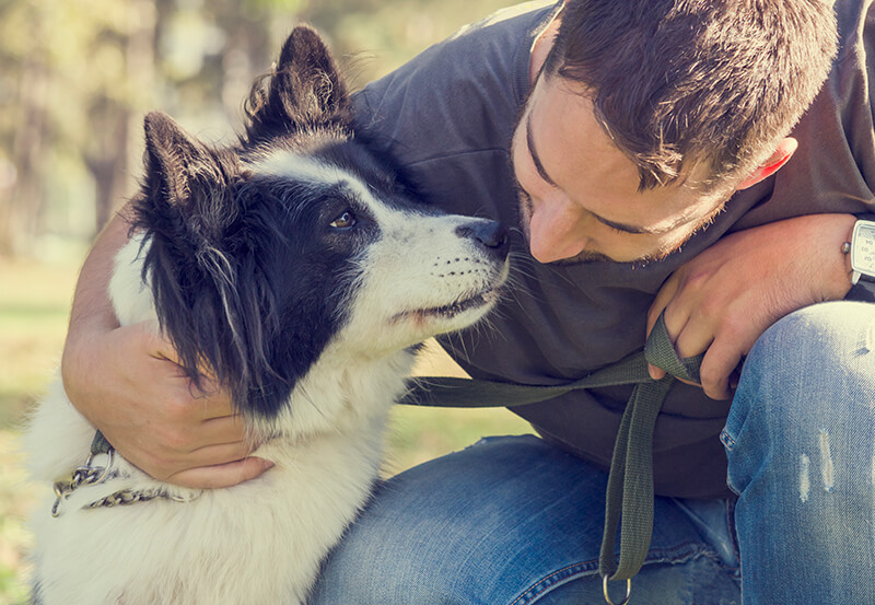 pet-sitter-man-dog