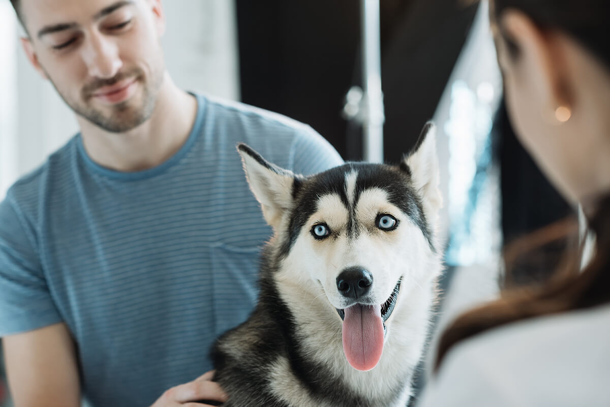 dog-owner-at-vet