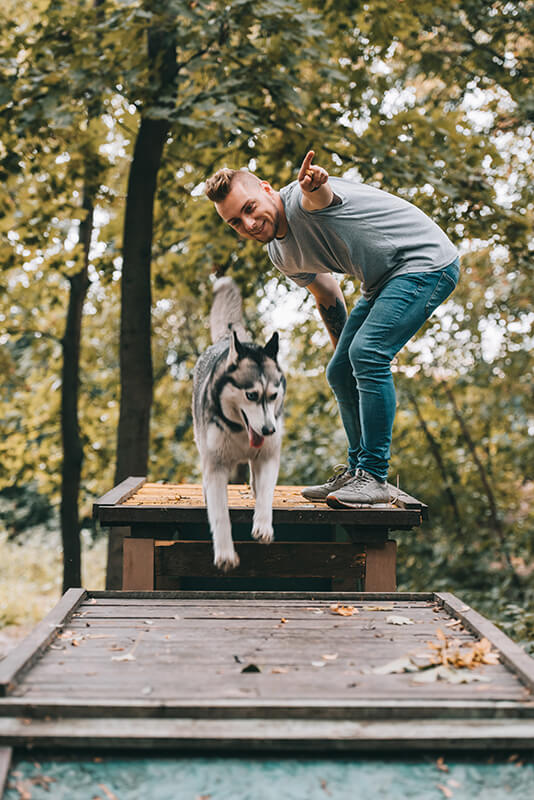 dog-trainer-with-jumping-husky