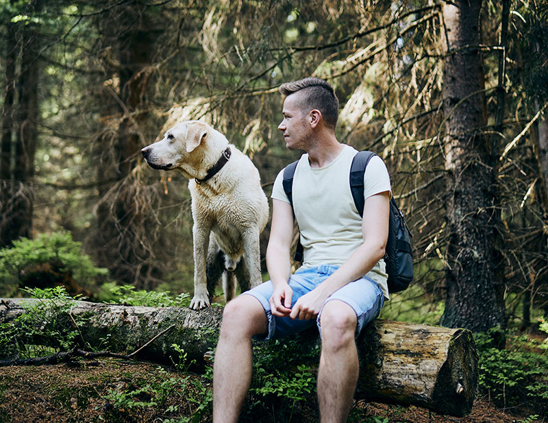 tourist-with-dog-in-forest