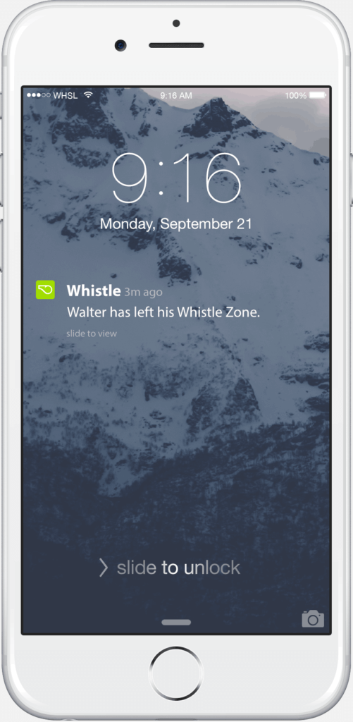 wagg-notification-screen