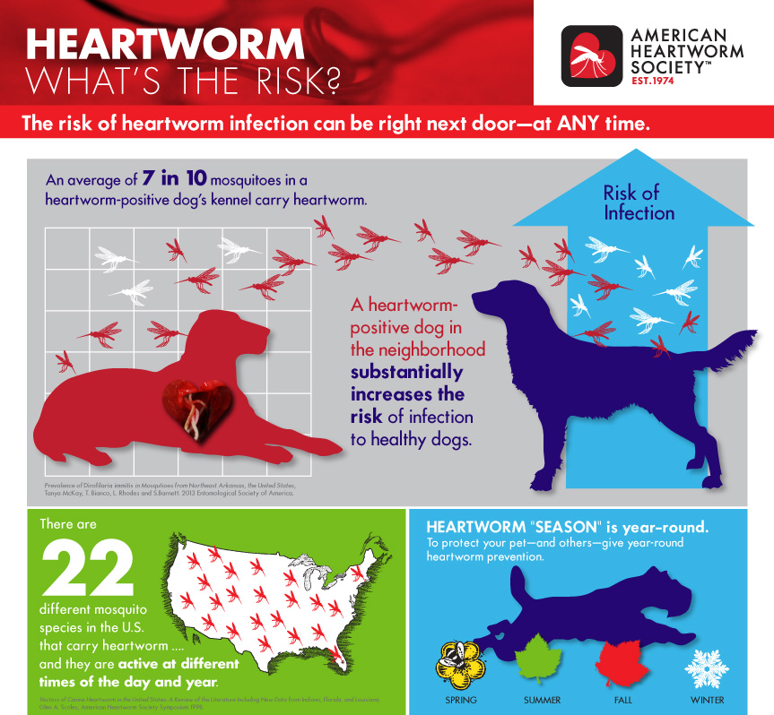 American Heartworm Association - Risk Graphic