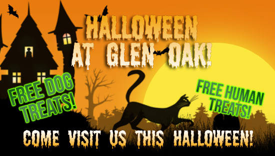 Glen Oak Anmial Hospital Halloween