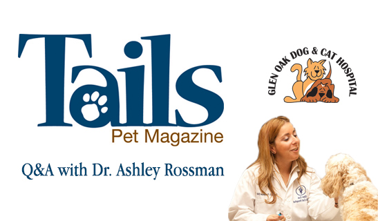 Dr. Ashley Rossman from Glen Oak Dog and Cat hostpital