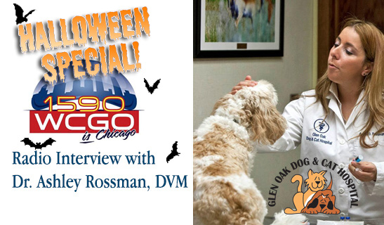 Ashley Rossman - WCGO interview Halloween