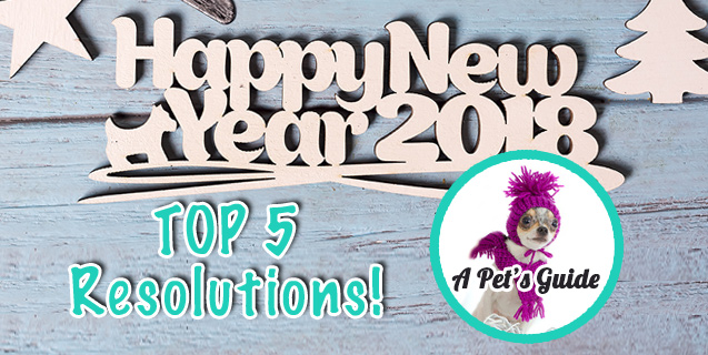 New Year's Resolution: a pet's guide