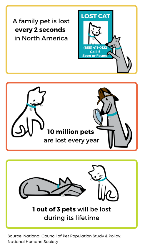 Pet lost statistics