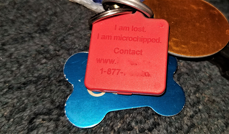 national lost pet month tags